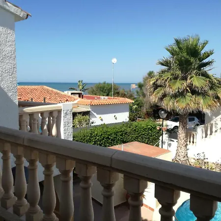 Lirios Locdenia * Dénia